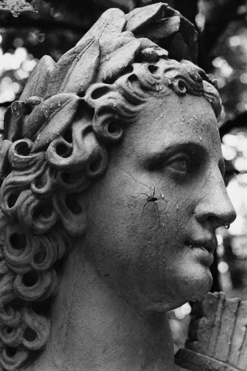 Санкт-Петербург на снимках Бориса Смелова Санкт-Петербург на снимках Бориса Смелова