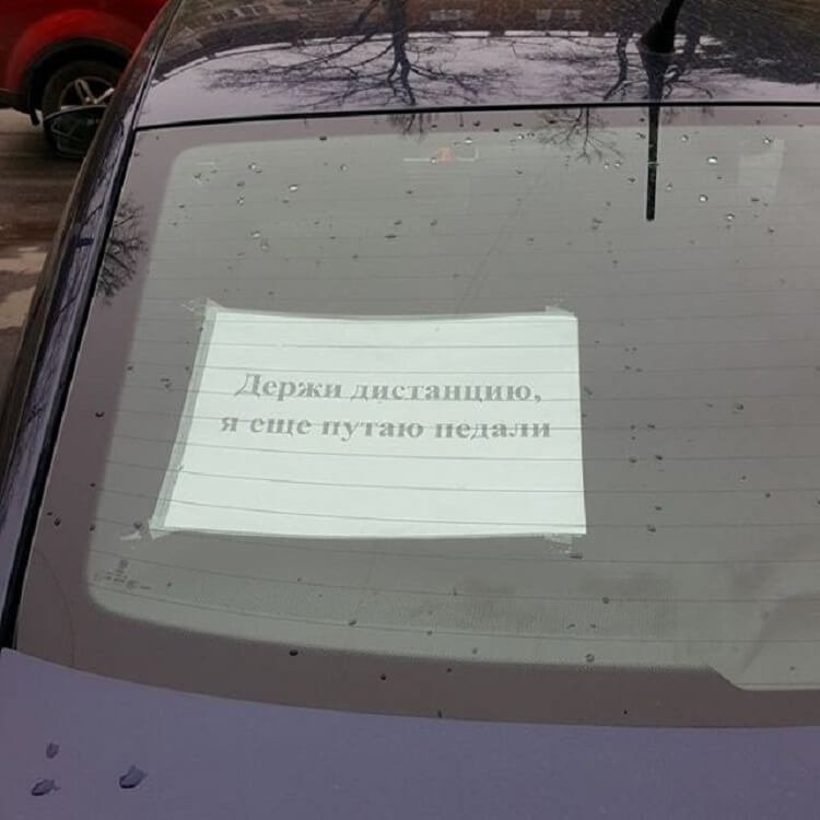 Чего только не встретишь на дорогах (фото) Чего только не встретишь на дорогах (фото)
