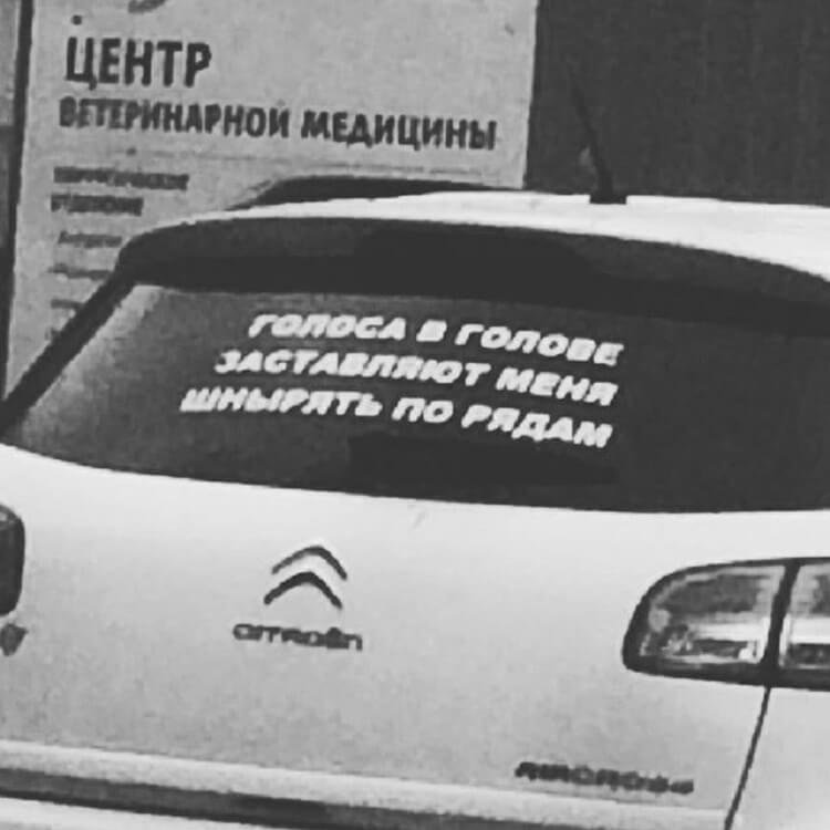 Чего только не встретишь на дорогах (фото) Чего только не встретишь на дорогах (фото)