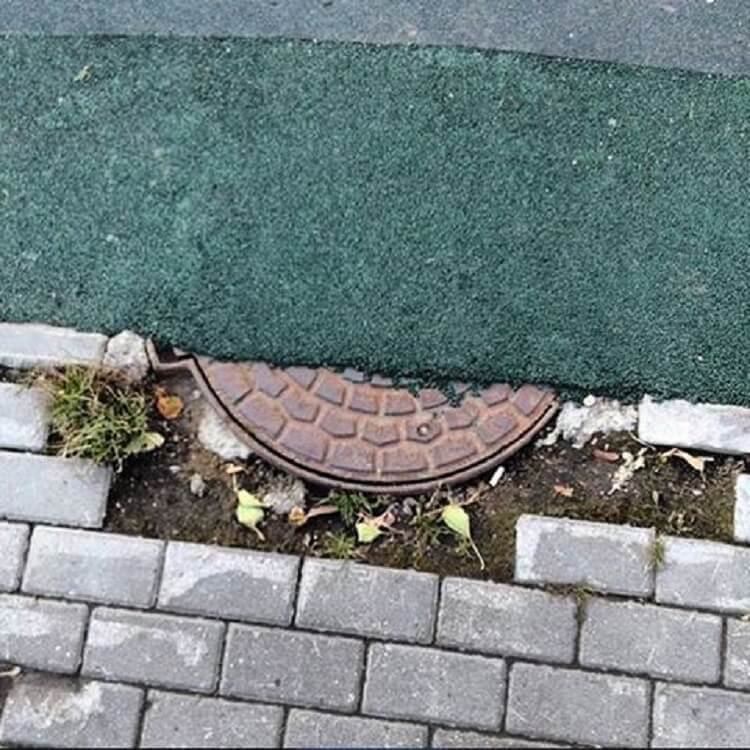 Чего только не встретишь на дорогах (фото) Чего только не встретишь на дорогах (фото)
