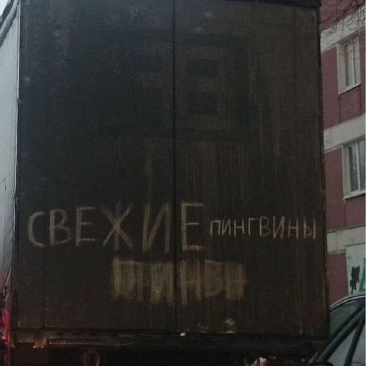 Чего только не встретишь на дорогах (фото) Чего только не встретишь на дорогах (фото)