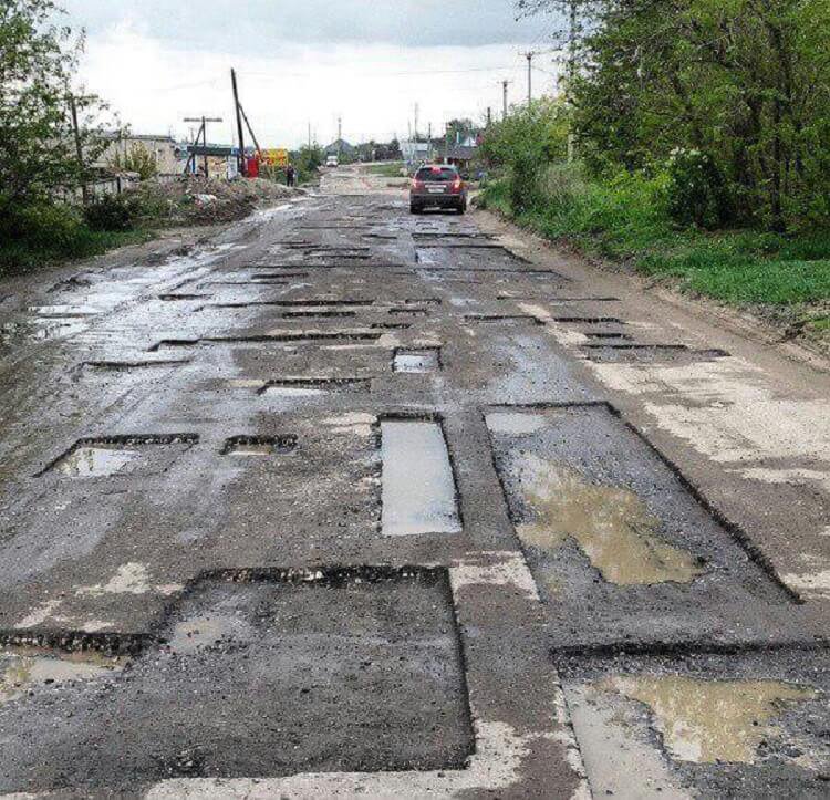 Чего только не встретишь на дорогах (фото) Чего только не встретишь на дорогах (фото)
