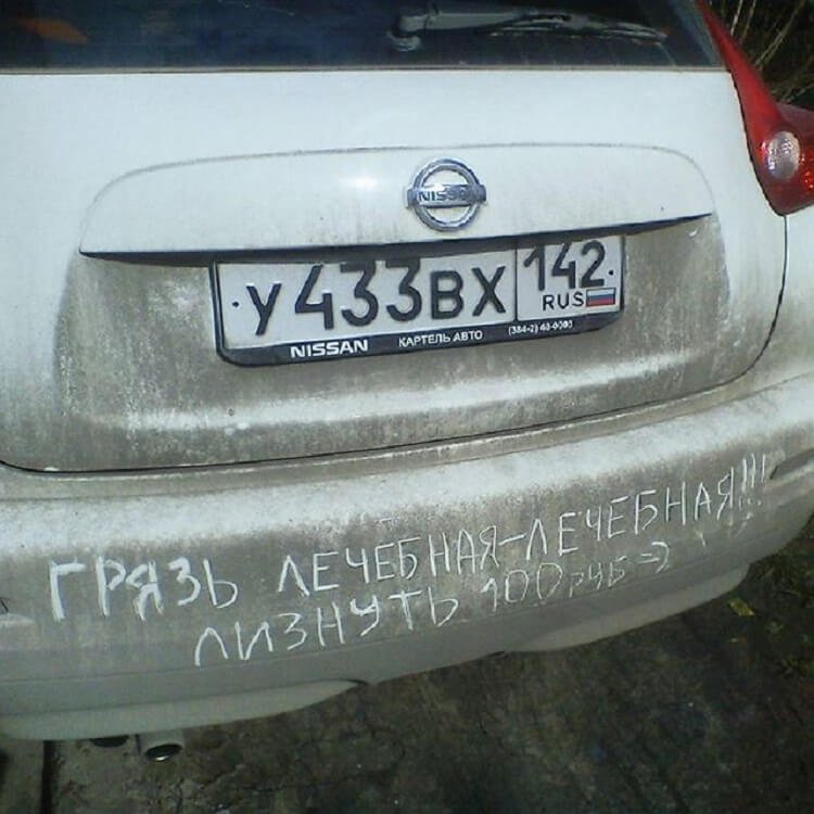 Чего только не встретишь на дорогах (фото) Чего только не встретишь на дорогах (фото)