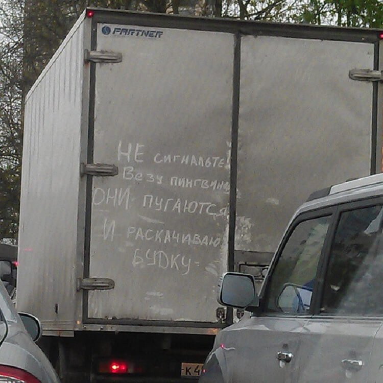 Чего только не встретишь на дорогах (фото) Чего только не встретишь на дорогах (фото)