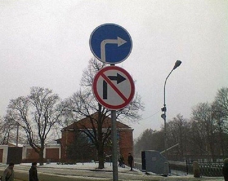Чего только не встретишь на дорогах (фото) Чего только не встретишь на дорогах (фото)