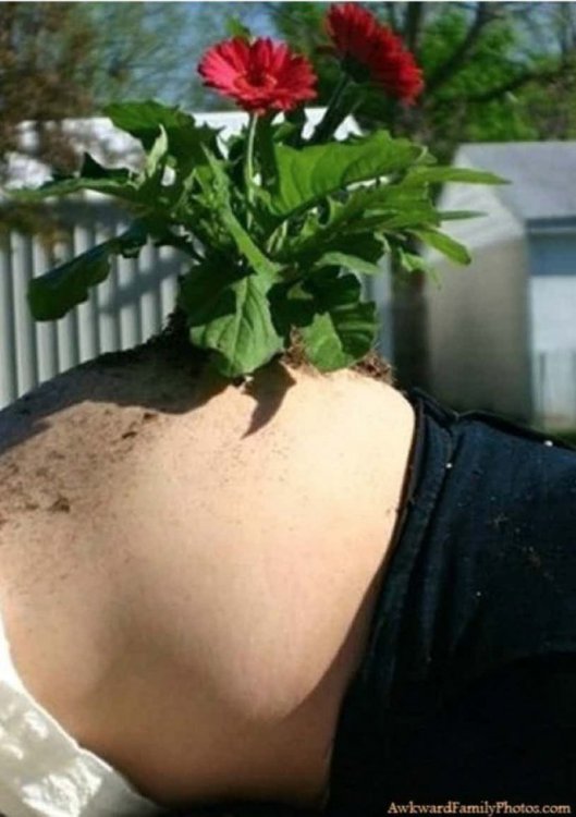 15 очень странных фотосессий беременных, после которых вы усомнитесь в их адекватности 15 очень странных фотосессий беременных, после которых вы усомнитесь в их адекватности