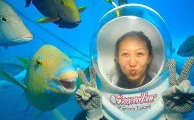 15 невероятно фотогеничных животных, от которых вы будете без ума (фото) 15 невероятно фотогеничных животных, от которых вы будете без ума (фото)