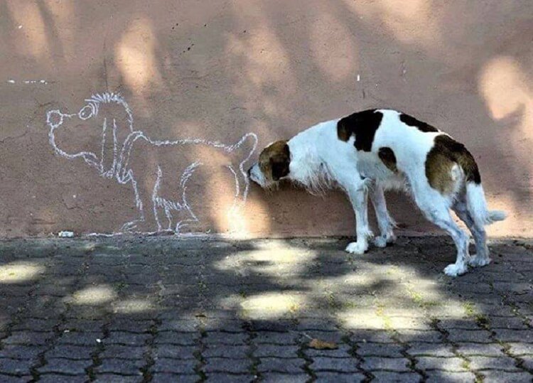 27 фотографий сделанных в нужный момент 27 фотографий сделанных в нужный момент