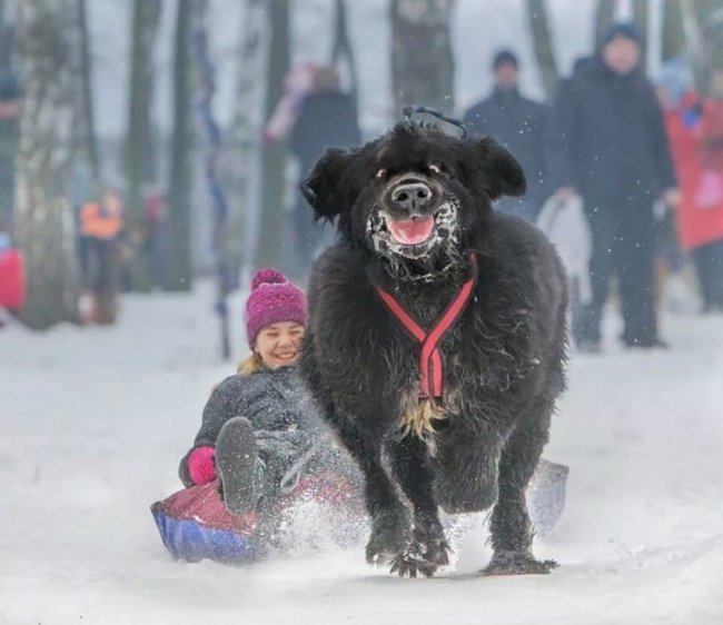 10 фото детей, которые знают, что такое счастье! 10 фото детей, которые знают, что такое счастье!