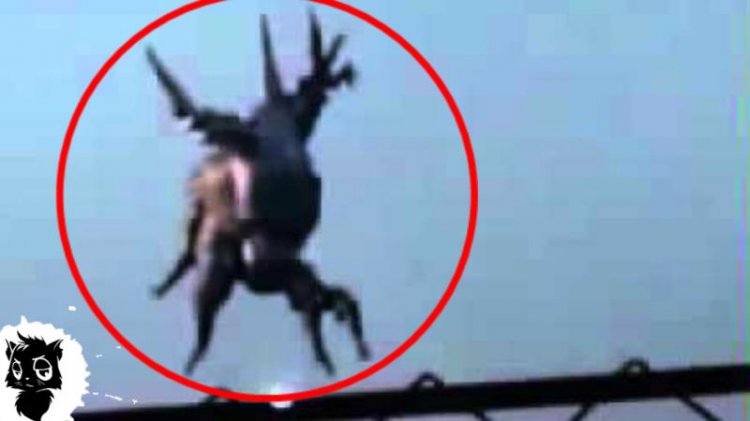 Пять загадочных вещей из архива КГБ, снятых на камеру (видео) Пять загадочных вещей из архива КГБ, снятых на камеру (видео)