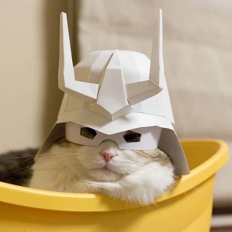 Когда коты хотят отдохнуть, их ничто не беспокоит — даже это! (фото) Когда коты хотят отдохнуть, их ничто не беспокоит — даже это! (фото)