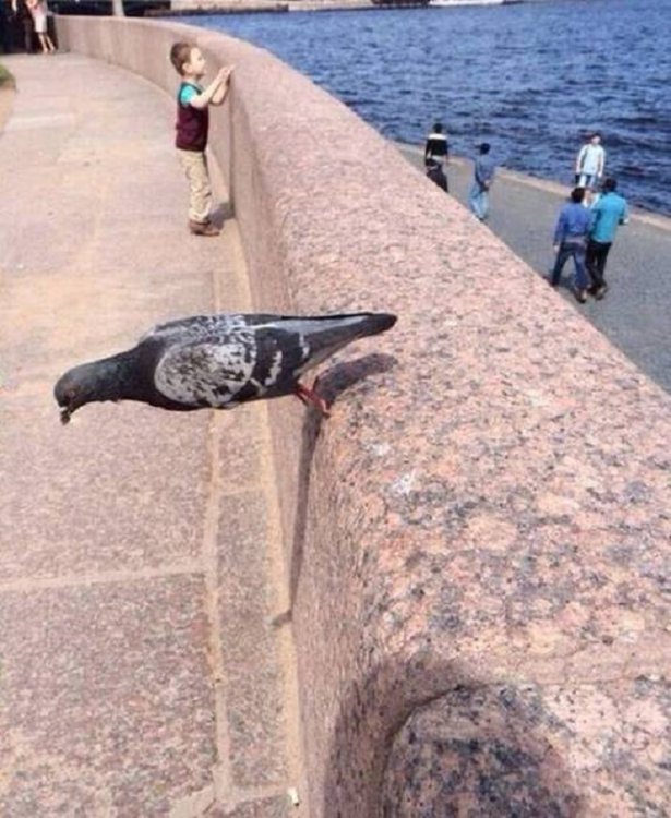 19 фотографий, на которые тебе придется взглянуть дважды 19 фотографий, на которые тебе придется взглянуть дважды
