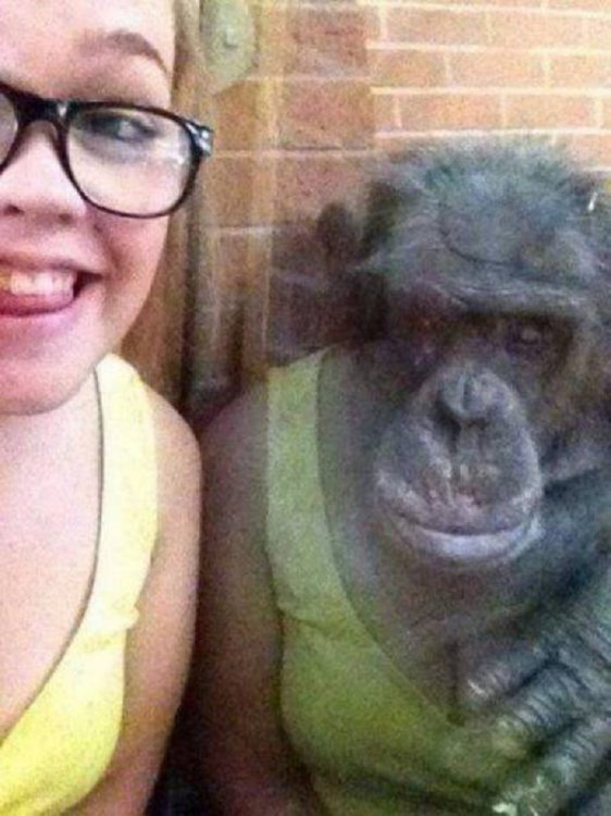 19 фотографий, на которые тебе придется взглянуть дважды 19 фотографий, на которые тебе придется взглянуть дважды