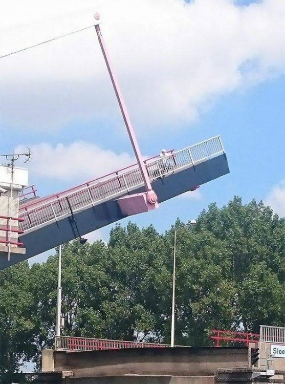 У этих людей был худший день в жизни… (фото) У этих людей был худший день в жизни… (фото)