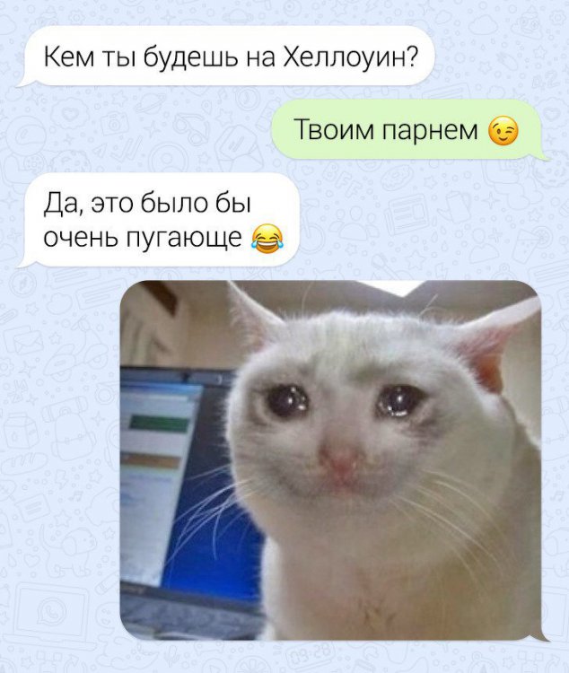 СМС от гуру виртуального общения СМС от гуру виртуального общения