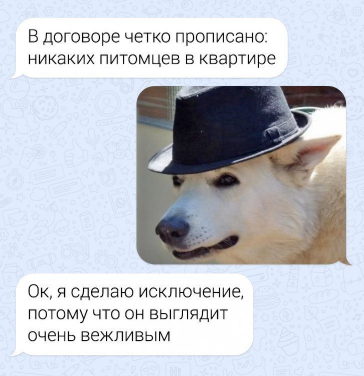 СМС от гуру виртуального общения СМС от гуру виртуального общения