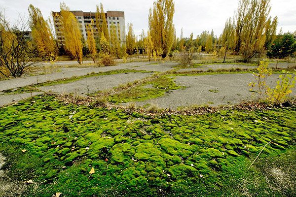 Чернобыль и Припять Чернобыль и Припять