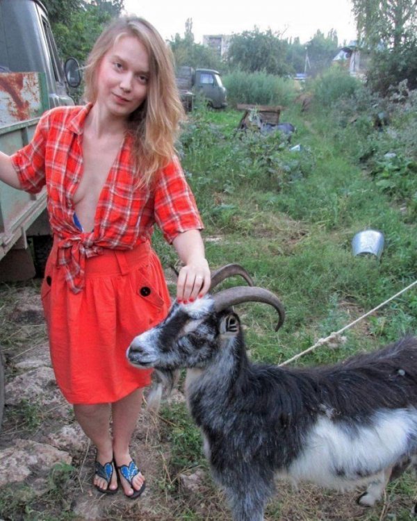 Сельские доярки сегодня тоже активно ведут странички в Instagram (фото) Сельские доярки сегодня тоже активно ведут странички в Instagram (фото)