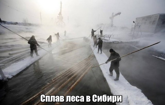 Подборка фото для тех кто думает, что у него плохая работа Подборка фото для тех кто думает, что у него плохая работа