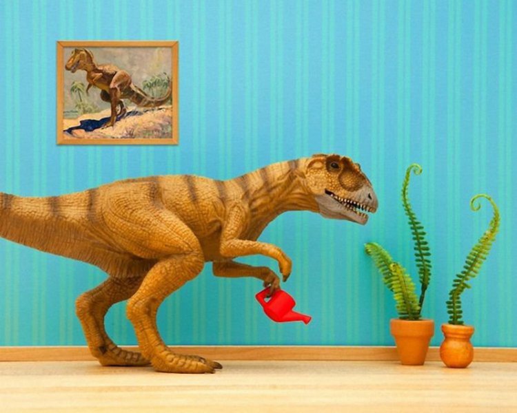 Что делают игрушки, когда детей нет дома? (фото) Что делают игрушки, когда детей нет дома? (фото)