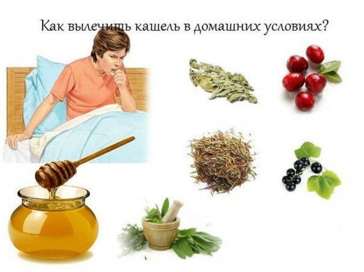 Эффективное средство избавления от кашля Эффективное средство избавления от кашля