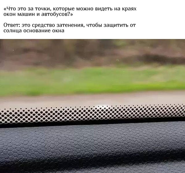 Люди спрашивают у пользователей сети: "Что это такое?" Люди спрашивают у пользователей сети: "Что это такое?"