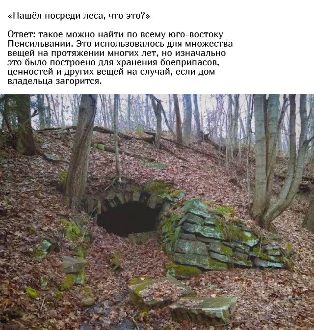 Люди спрашивают у пользователей сети: "Что это такое?" Люди спрашивают у пользователей сети: "Что это такое?"