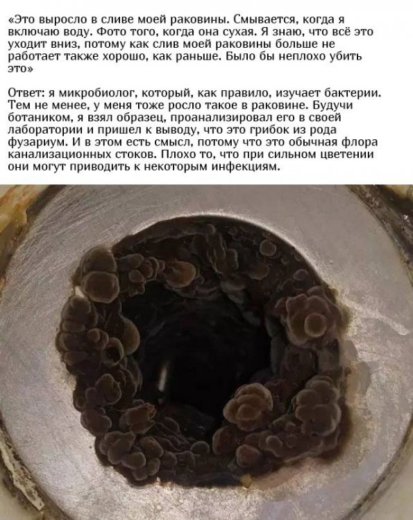 Люди спрашивают у пользователей сети: "Что это такое?" Люди спрашивают у пользователей сети: "Что это такое?"