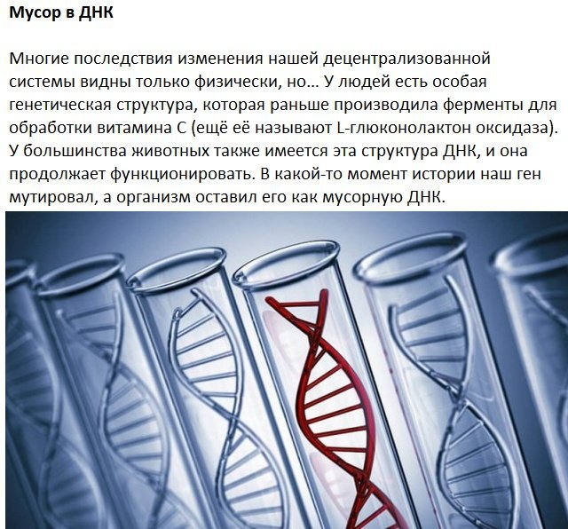 Следы на человеческом теле, оставленные эволюцией Следы на человеческом теле, оставленные эволюцией