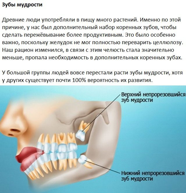 Следы на человеческом теле, оставленные эволюцией Следы на человеческом теле, оставленные эволюцией