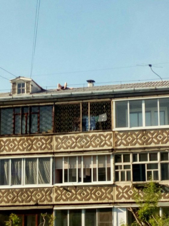 19 странных поступков, которые россияне уже совершили этим жарким летом 19 странных поступков, которые россияне уже совершили этим жарким летом