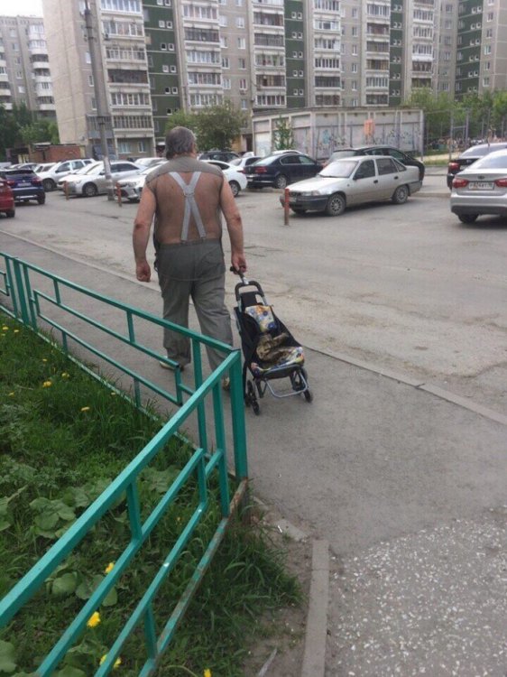 19 странных поступков, которые россияне уже совершили этим жарким летом 19 странных поступков, которые россияне уже совершили этим жарким летом