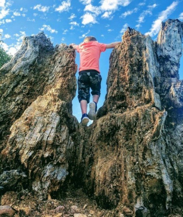 Фотографии, на которых все не то, чем кажется Фотографии, на которых все не то, чем кажется