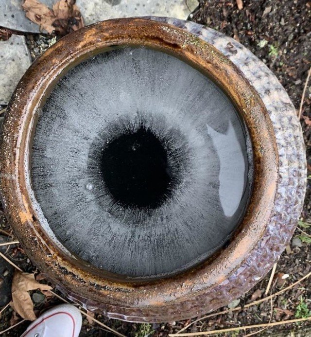 Фотографии, на которых все не то, чем кажется Фотографии, на которых все не то, чем кажется