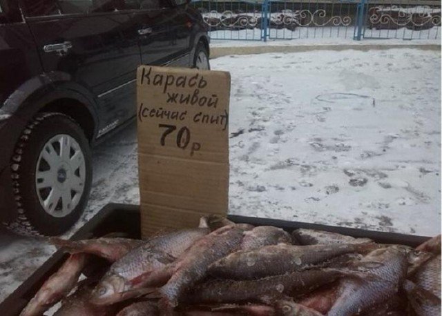 Шедевры народного креатива и маркетинга Шедевры народного креатива и маркетинга