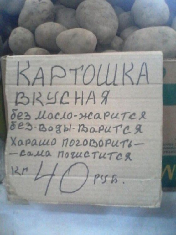 Шедевры народного креатива и маркетинга Шедевры народного креатива и маркетинга