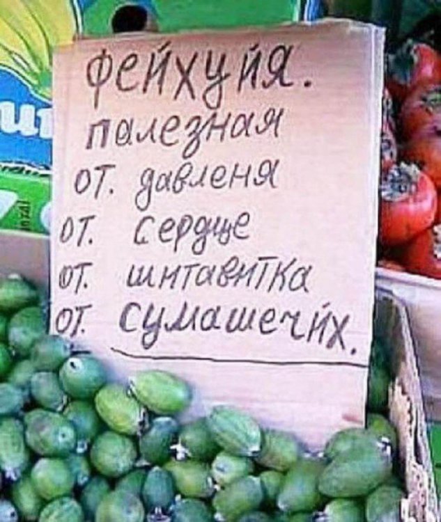 Шедевры народного креатива и маркетинга Шедевры народного креатива и маркетинга