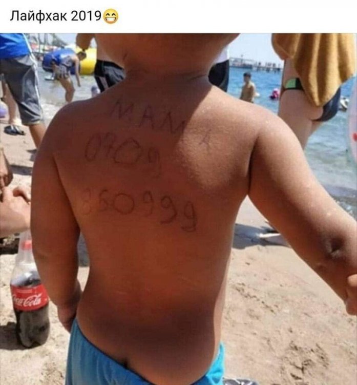 Лето-2019: юмористические итоги трех долгожданных месяцев Лето-2019: юмористические итоги трех долгожданных месяцев