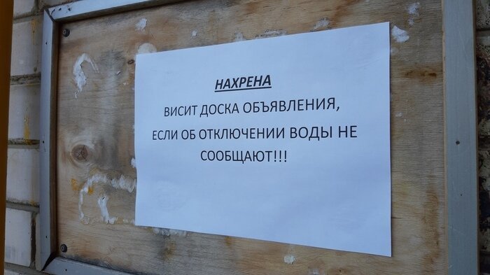 Лето-2019: юмористические итоги трех долгожданных месяцев Лето-2019: юмористические итоги трех долгожданных месяцев