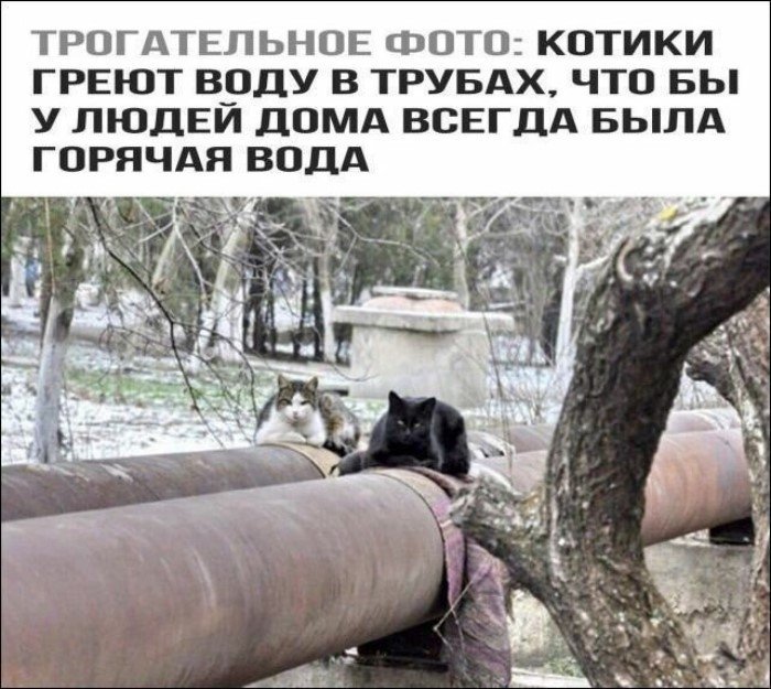 Забота проявляется в мелочах Забота проявляется в мелочах