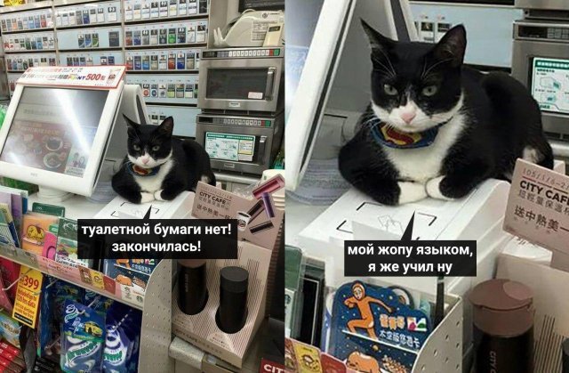 Лучшие мемы Сети. Карантин продолжается Лучшие мемы Сети. Карантин продолжается