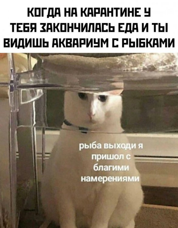 Лучшие мемы Сети. Карантин продолжается Лучшие мемы Сети. Карантин продолжается