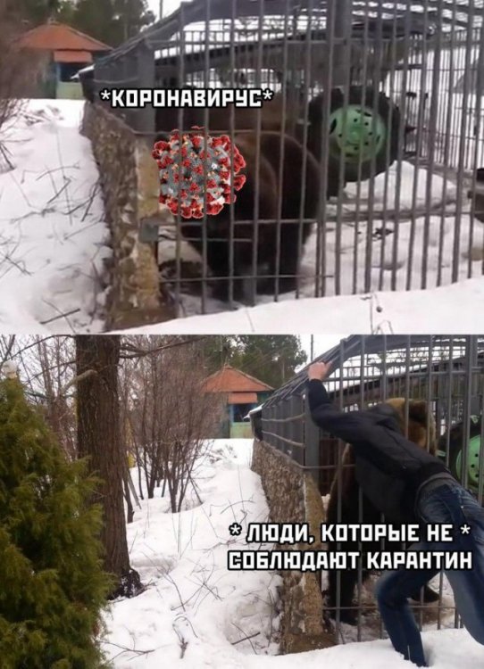 Лучшие мемы Сети. Карантин продолжается Лучшие мемы Сети. Карантин продолжается