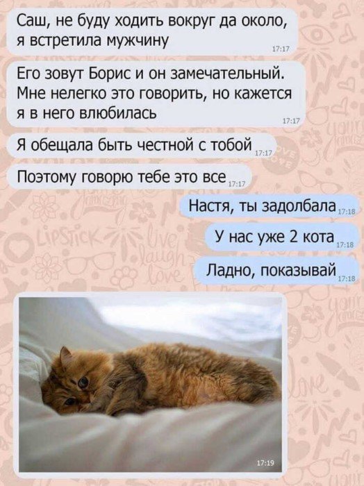 Попробуй не засмеяться! 15+ убойных скринов переписок Попробуй не засмеяться! 15+ убойных скринов переписок