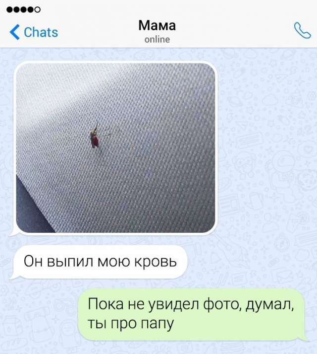 Подборка забавных переписок с родителями Подборка забавных переписок с родителями